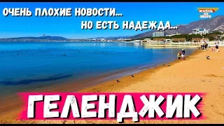 ГЕЛЕНДЖИК. ОЧЕНЬ ПЛОХИЕ НОВОСТИ. НО ЕСТЬ НАДЕЖДА.... ФЕВРАЛЬ 2020г.