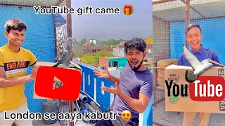 Big surprise gift from YouTube 🎁🕊 !! Aaj youtube ne bheja gift me kabutar😍