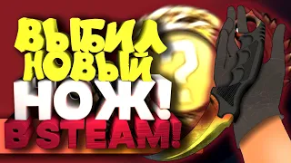 ВЫБИЛ НОВЫЙ НОЖ В STEAM! - ТАКОГО Я ВООБЩЕ НЕ ОЖИДАЛ ОТ CS:GO