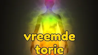 Suriname:Vreemde torie