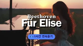 🎧1h 연속듣기 | 베토벤 엘리제를 위하여 | Beethoven Fur Elise | Bagatelle No. 25 in A minor #베토벤 #엘리제를위하여