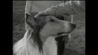Lassie - Episode #307 - "Swimmers" - Season 9, Ep. 16 - 01/27/1963