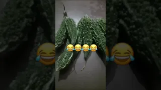 Vegetable song