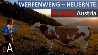 Werfenweng - Heuernte auf der Alm