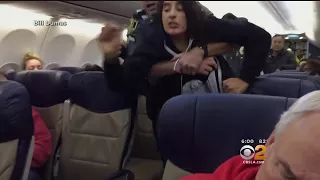 Woman Forcibly Thrown Off Plane After Complaining About 2 Dogs On Fligtt