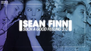 Sean Finn - Such A Good Feeling 2.0 (Van Gelder Remix)