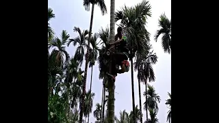 fastest machine climbing coconut tress / agriculture technology