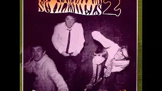 Various ‎– Psychedelic Schlemiels 2 (More Lost Sounds From Britpsych Scene 1967-1969) UK Rock Music