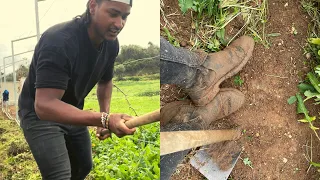 COMO É TRABALHAR NA ROÇA NO CAMPO EM PORTUGAL 🇵🇹