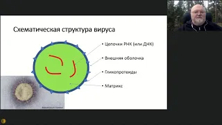 Вебинар МГНОТ: Воробьев П.А. - Коронавирус:  от фундаментальных  до социальных проблем