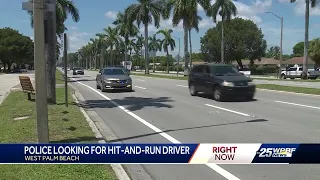 Woman on life support after hit-and-run, WPB police looking for driver