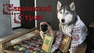 Славянский стрим 11