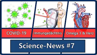 Science News #7: Covid-19 & Immunsystem | Immungedächtnis & Impfung | Omega 3 als Supplement