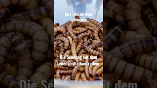 Insekten auf dem Speiseplan-Die Sendung mit dem Lebensmittelkontrolleur @kontrolleisstbesser8555