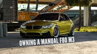 Should You Buy A F80 M3 Manual ? | M3 Manual | Manual F80 M3 Review