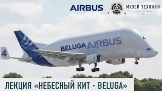 ЛЕКЦИЯ: "НЕБЕСНЫЙ КИТ - BELUGA"