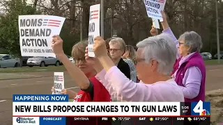 Justin Jones proposes new bill to change gun laws