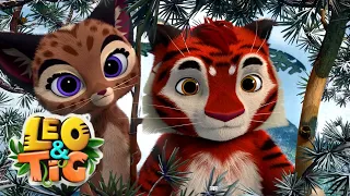Leo and Tig 🦁 The Sun Folk 🐯 Funny Family Good Animated Cartoon for Kids