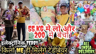 ब्रांडेड Teddy Bear खरीदे किलो के भाव में | इलेक्ट्रॉनिक Teddy Bear | Azad Market in Delhi. SurPlus