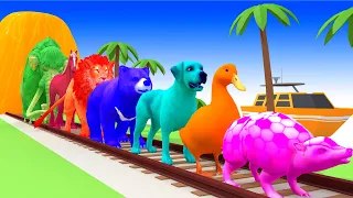 Paint Animals Elephant Gorilla Buffalo Hippopotamus Tiger Lion Bear Zebra Fountain Crossing Animals