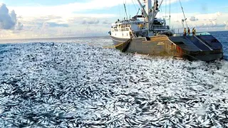 Life On Largest Midwater Trawl Vessel - Fishing trip on trawler the High Sea #04