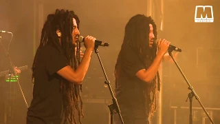 Mellow Mood live at Festival Musa Cascais 2018