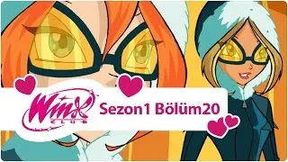 Winx Club - Sezon 1 Bölüm 20 - Winx Domino'da