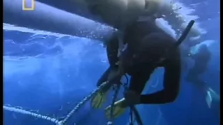 Tuna Cowboys   National Geographic Documentary