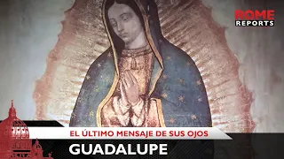 Guadalupe: El último mensaje de sus ojos