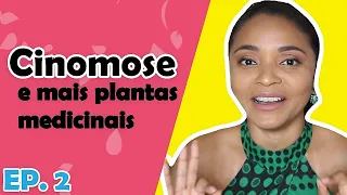 #CINOMOSE E MAIS PLANTAS MEDICINAIS - EP.2