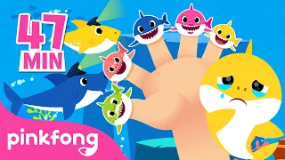 Shark Finger Family and more! | Sing Along with Baby Shark | Compilation | Pinkfong Kids Songs