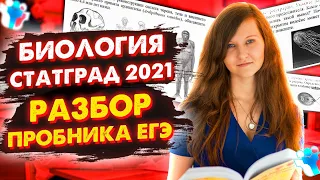 РАЗБОР РЕАЛЬНОГО ВАРИАНТА ЕГЭ 2021 ПО БИОЛОГИИ СТАТГРАД