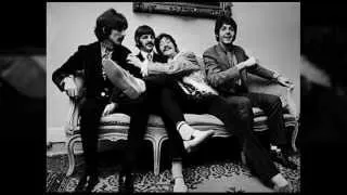 Beatle Lyrics | Beatle Song