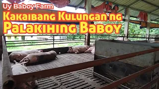 Elevated Growing Pens ng Uy Baboy Farm sa Tanay, Rizal