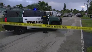 Woman killed, man in custody after domestic incident in Lauderdale Lakes
