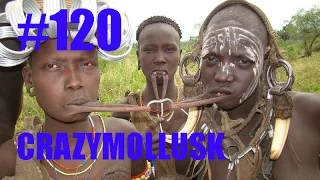 Лучшие приколы 2015 #120 - Приколы. Падения. Неудачи. Угар. Жесть. Best funny videos