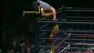 Hulk Hogan superplex to Big Boss Man off the Blue Steel Cage