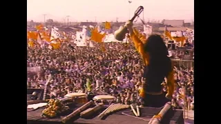 Se están quedando solos - Parque La Bandera