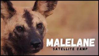 The Peaceful Malelane Satellite Camp | Kruger National Park