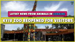 Ukraine Kyiv Zoo reopened for visitors, animals are brought from dangerous places