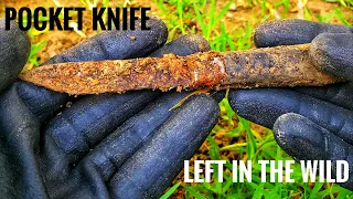 A pocket knife left in the wild Restoration | 15 MIN RESTORATION