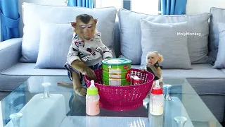 Wow!! Obedient Dodo & CiCi Sitting In Living Room Wait For Mum Feed Milk