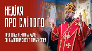 Епископ Сильвестр (Стойчев). Слово в Неделю 6-ю после Пасхи, о слепом