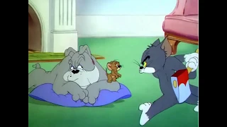 Tom and Jerry - Quiet Please! (Best moments)