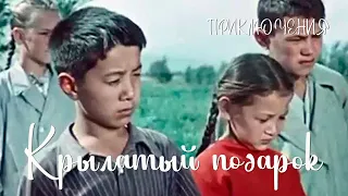 Крылатый подарок (1956) Фильм Эмира Файка В ролях Хаким Давлетбеков, Мухтар Бахтыгереев Приключения