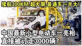 續航300公里，僅有普通車一半大，還配備超大連屏！中國最新小型電動車一亮相，直接被訂走3000輛！德國急了？