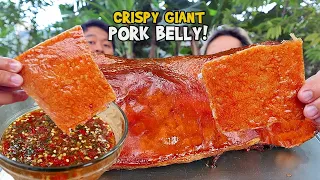 7Kgs MASSIVE PORK BELLY! (HD) | BACKYARD COOKING