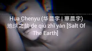 (Lyrics) Pinyin - 地球之盐 [Salt Of The Earth] (Dìqiú zhī yán) Hua Chenyu (华晨宇)