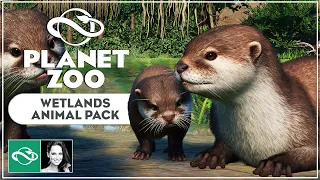 ▶ Planet Zoo Wetlands Animal Pack: Complete Overview of All Animals & Items