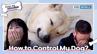 How to Control My Dog? 🐾 [Dogs are incredible : EP.169-2] | KBS WORLD TV 230509